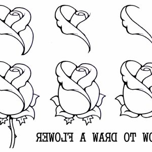 300x300 How To Draw Step By Anime People Learn How Flower Sketches Easy