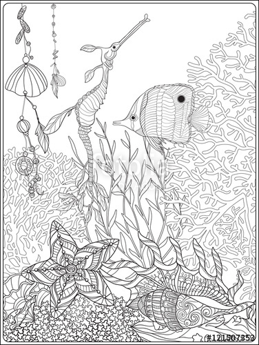 376x500 Coral Reef Collection.anti Stress Coloring Book For Adult