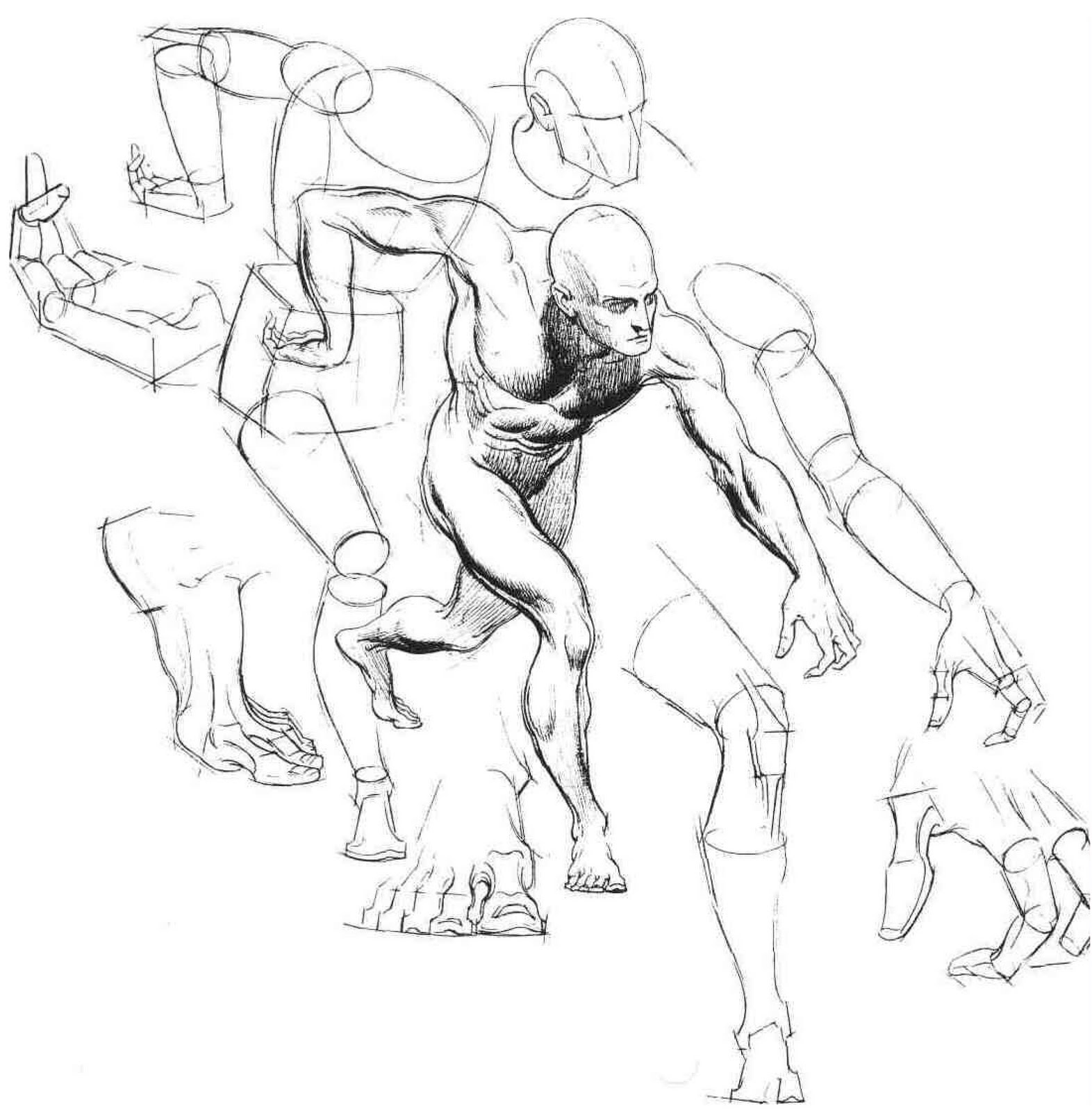 1572x1600 Drawing Is Drawing A Language