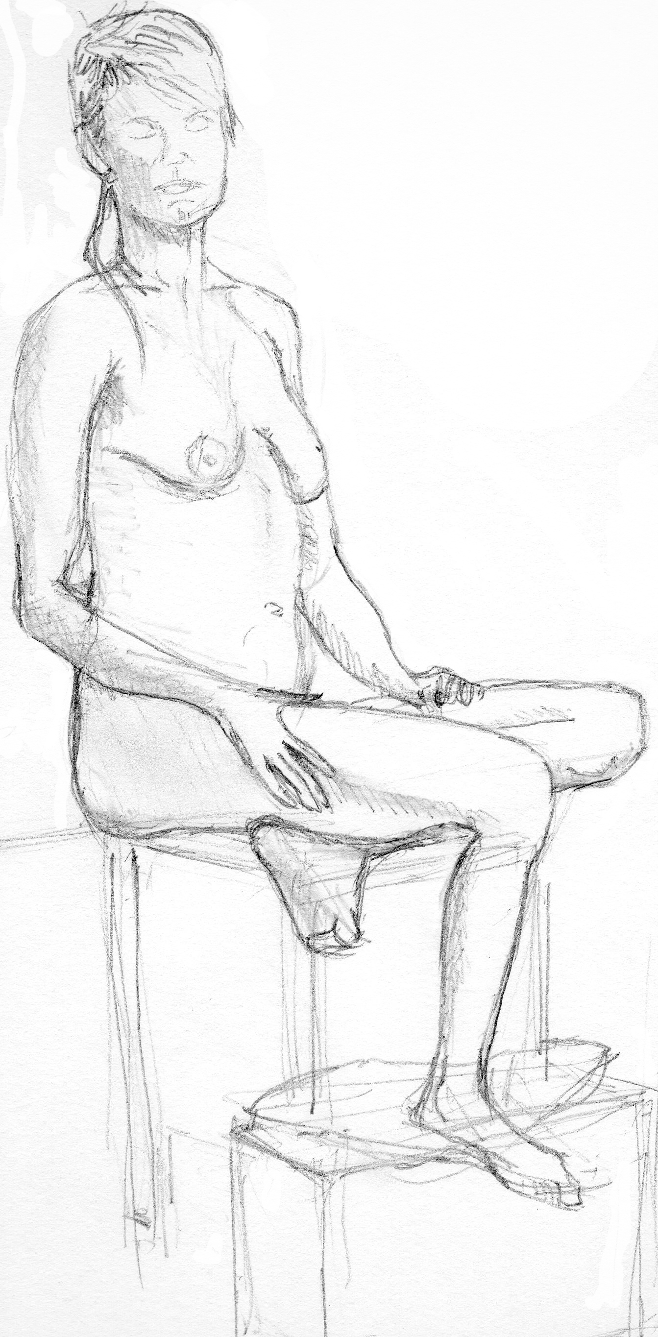 1343x2729 Life Drawing Albert Design