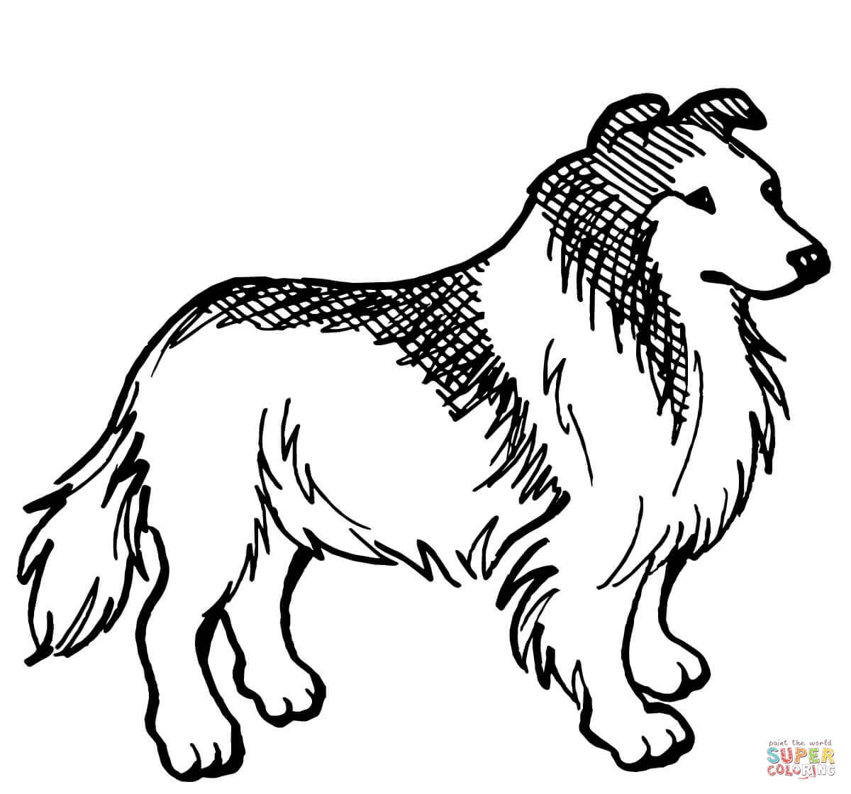 1200x1120 Coloring Pages Exquisite Collie Coloring Pages Rough Page Collie