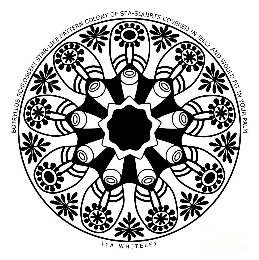 899x900 Like Colony At The Bottom Of The Sea Drawing By Dr Iya Whiteley