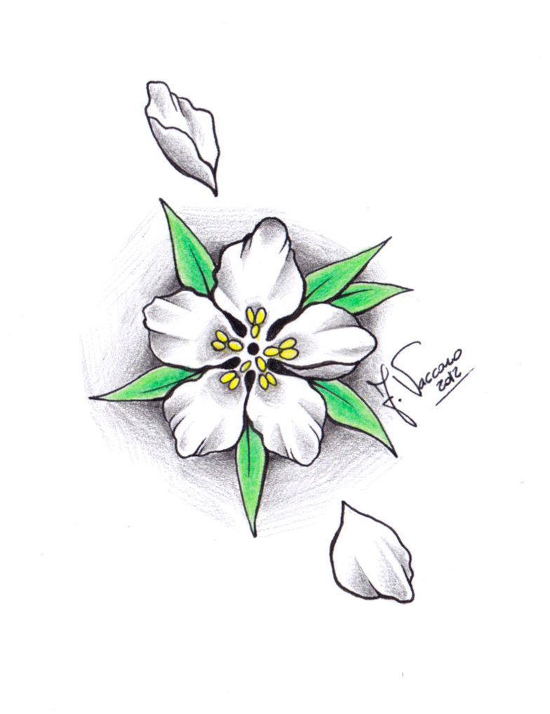 784x1018 Flower Drawings With Color Tumblr Flower Drawing