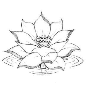 300x300 Lotus Flower Growing Coloring Page Kids Play Color