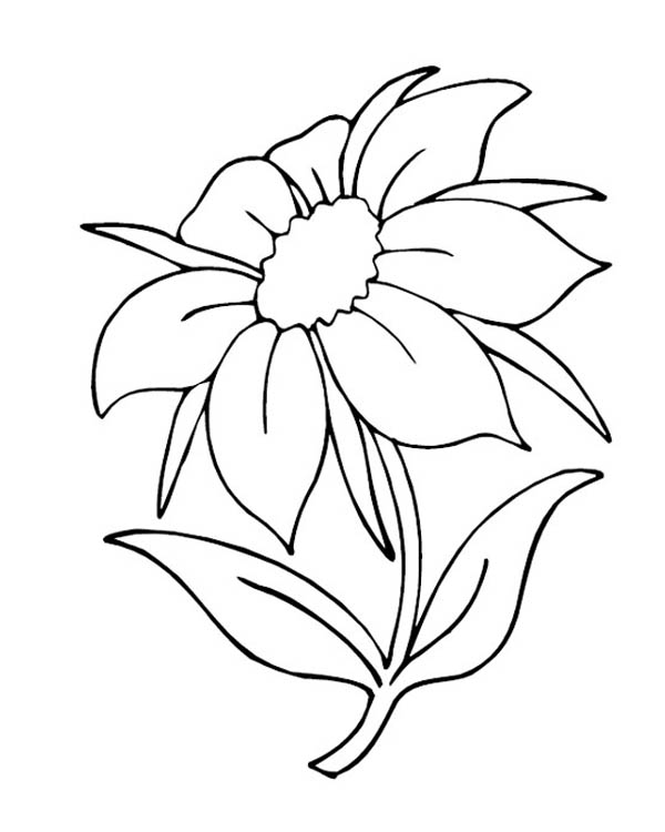600x750 Charming Flower In Nature Coloring Page Color Luna