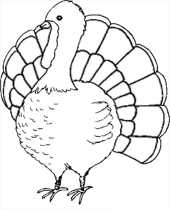 650x802 Top 89 Turkey Coloring Pages