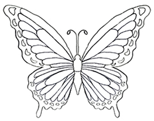 300x236 Free Butterfly Coloring Pages Kid Crafts