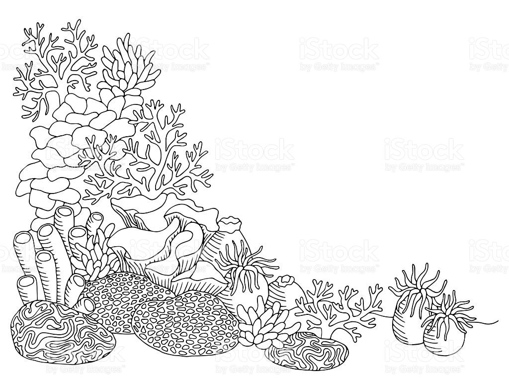 1024x768 Coral Sea Graphic Art Black White Underwater Landscape