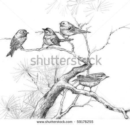 450x432 Pin By Ying Chen On Birds Bird