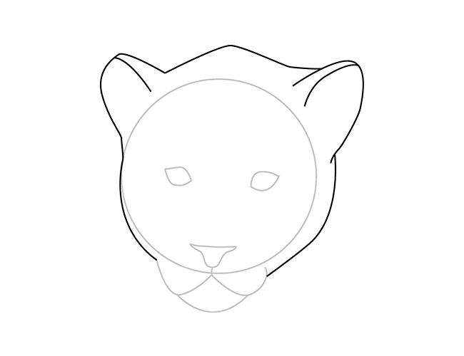 650x500 How To Draw A Leopard With Colored Pencils