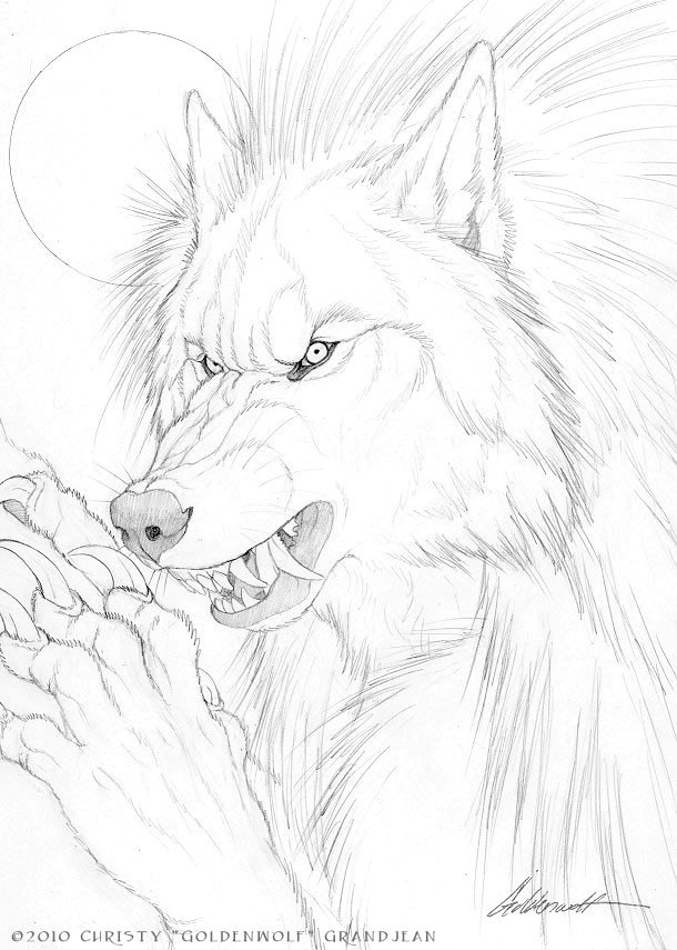 610x855 Ding Dong, Avon Calling. Done Last Year For The Werewolf Portfolio