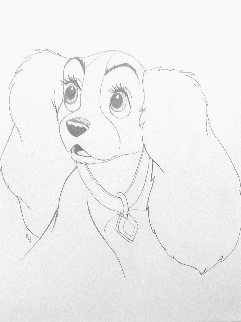 774x1032 A Drawing Of Pumbaa That I Did While Working