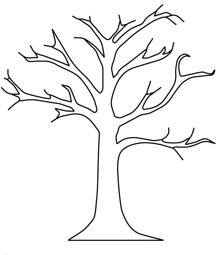 700x825 Fall Tree Coloring Pages To Print Coloring