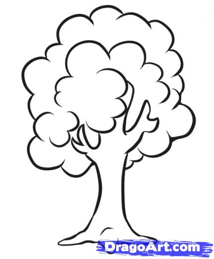 431x520 How To Draw A Simple Tree Drawing Drawings