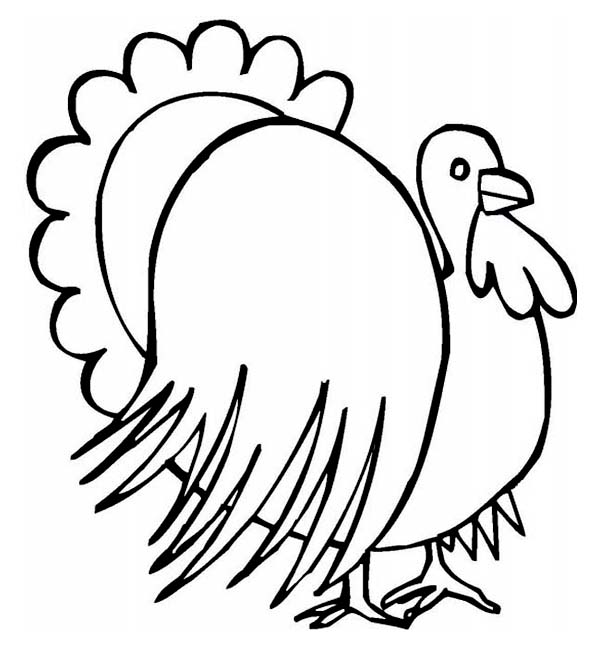 600x646 Thanksgiving Day Turkey Illustration Coloring Page