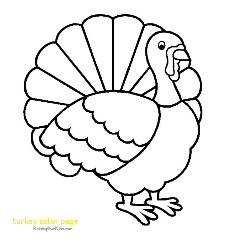 768x764 Turkey Color Page With 193 Free Printable Turkey Coloring Pages