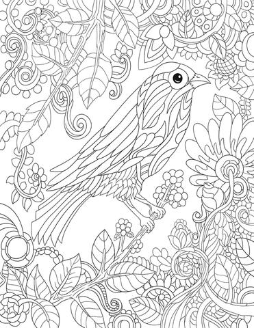 371x480 Colors Of Nature Free Download