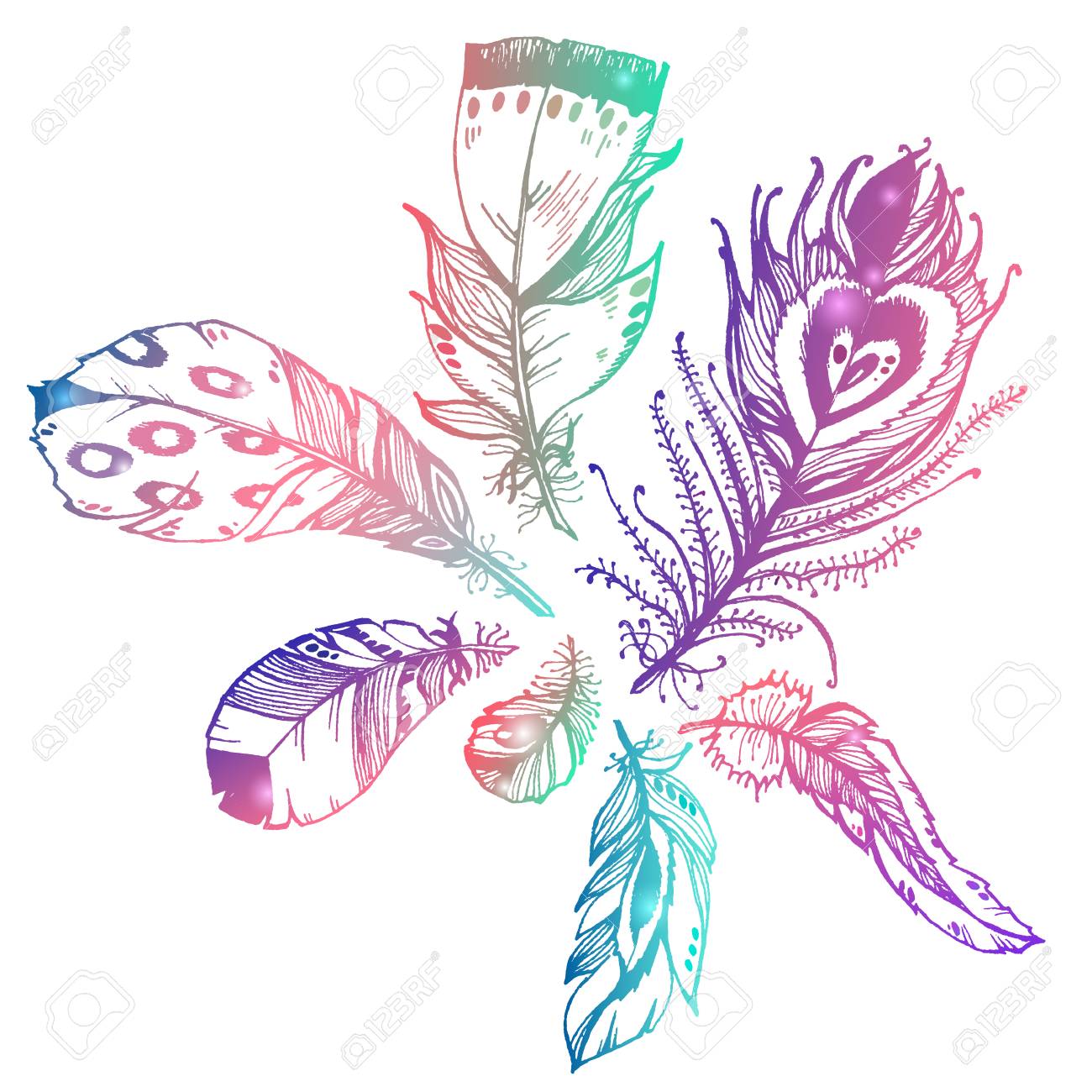 1300x1300 Hand Drawn Vector Painted Collection With Bird Feathers Isolated