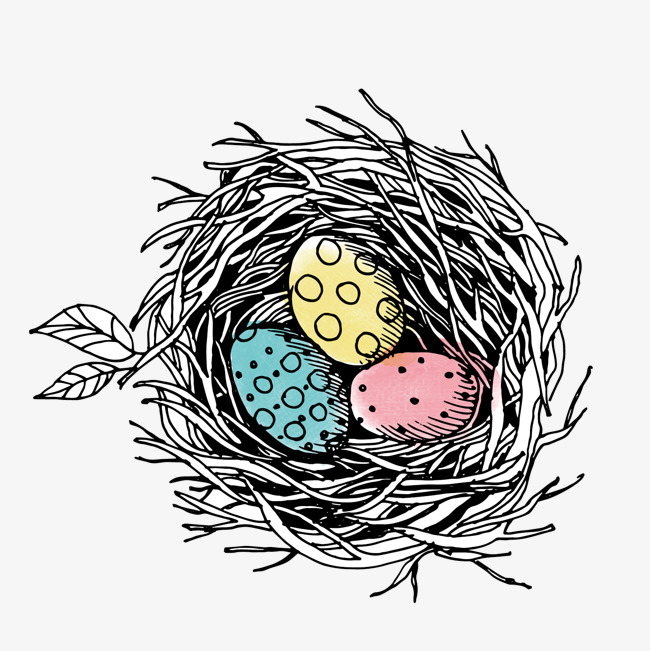 650x651 Bird's Nest Png Images Vectors And Psd Files Free Download