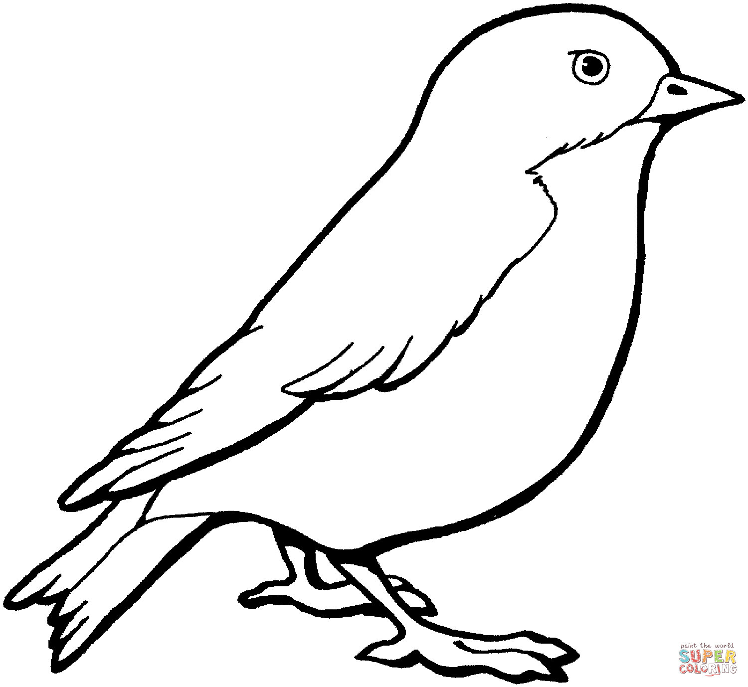 1500x1378 Bird Coloring Page. Others