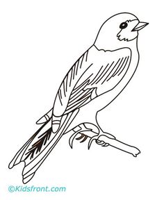 236x288 Bird To Color Birds Robins, Colors And Birds