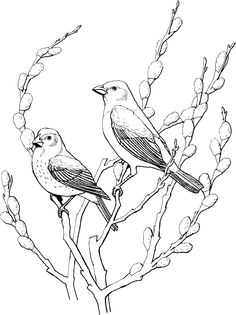 236x315 Black And White Pictures Of Birds Bird Clip Art