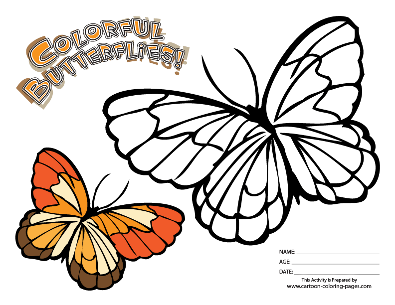 792x612 Page Of Butterfly