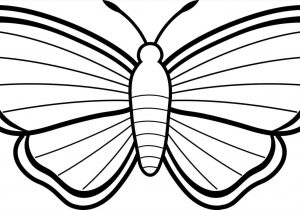 300x210 The Images Collection Of Virtual Pace Quick Drawing For Kids