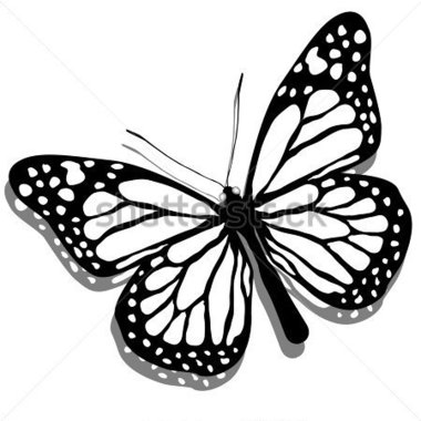 380x380 Clipart By Yarkodesign Clipart Color Butterflies Colorful