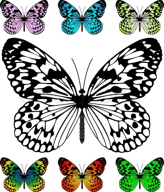 684x800 Butterfly Vector Template With Samples. Easy Editable Wings Color