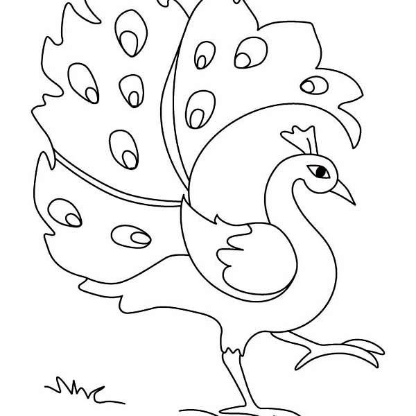 600x600 Simple Sketches For Kids Coloring Page Ideas