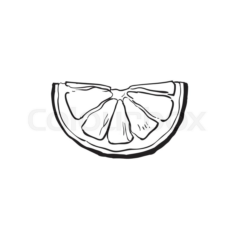 800x800 Hand Drawn Slice Of Lemon, Sketch Style Vector Illustration