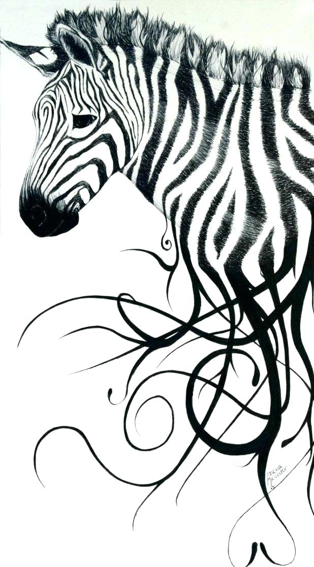 618x1117 Zebra Print Coloring Pages Interesting Zebra Print Coloring Pages