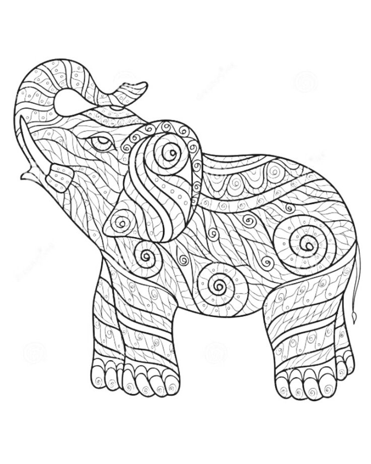 736x920 21 Best Dan Images On Colorful Elephant Tattoo