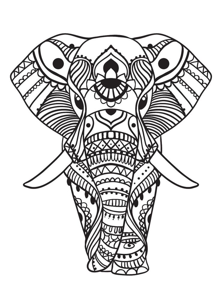 736x980 Coloring Pages For Adults Elephant