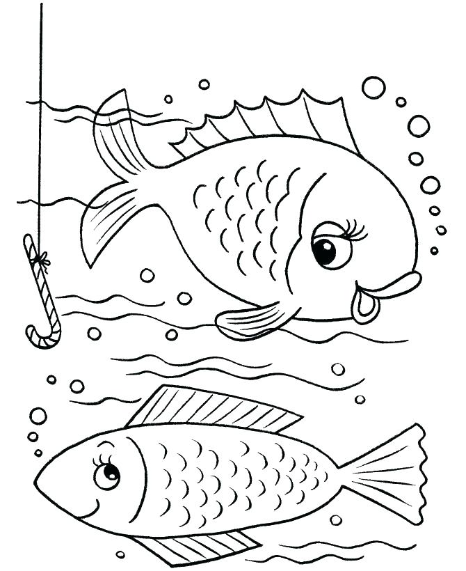 670x820 Fish Images To Color Colorful Fish Hd Images Genesisar.co