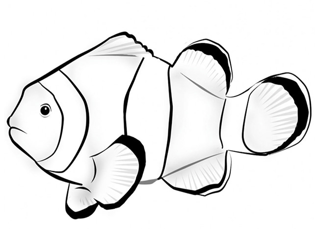 650x467 Fish Template Free Printable, Pdf Documents Download! Free