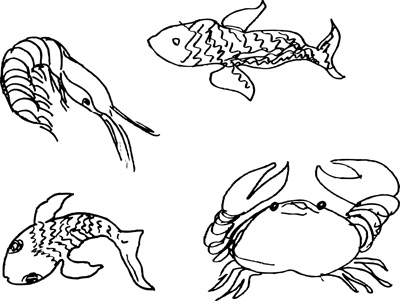 400x301 Fish Amp Fish Antonella Antonioni