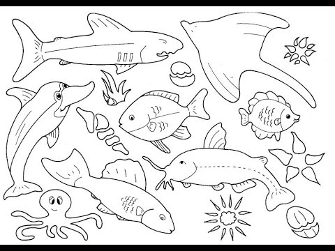 480x360 How To Draw Cartoon Fish Easy Step By Step For Kindergarten Kids