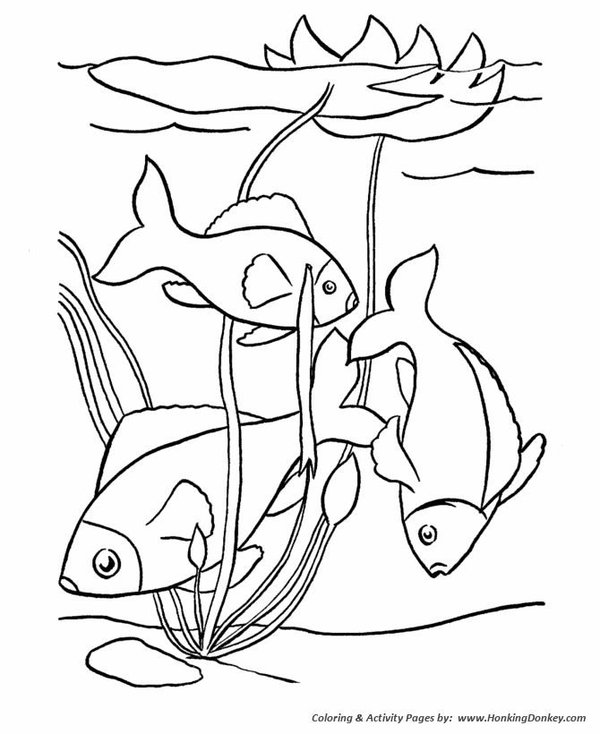 670x820 Pet Fish Coloring Pages Free Printable Tropical Fish Pet