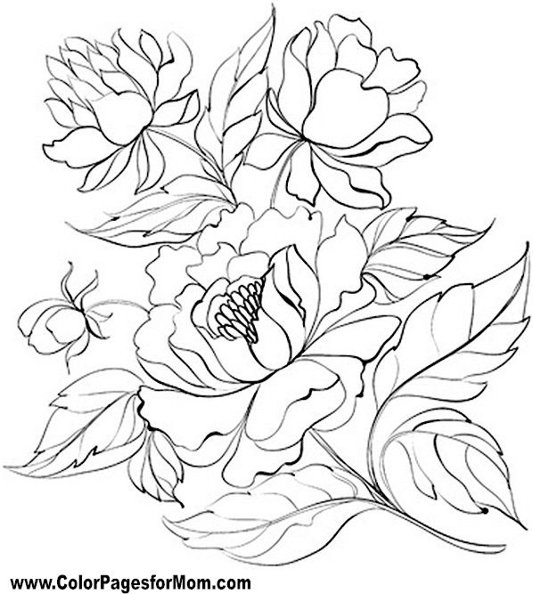 598x667 Flower Coloring Page 66 Flower Outlines Flower