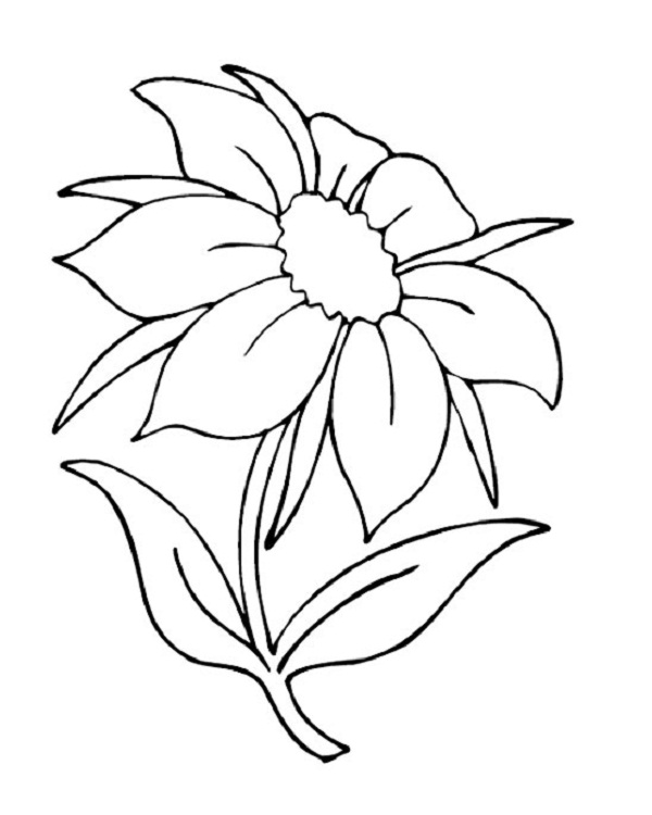 600x750 Flower Coloring Pages For Preschoolers Coloring Kids
