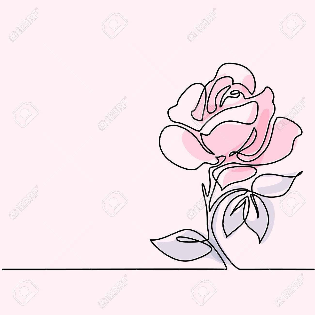 1300x1300 Beautiful Soft Color Rose Flowers. Continuous Line Drawing. Vector