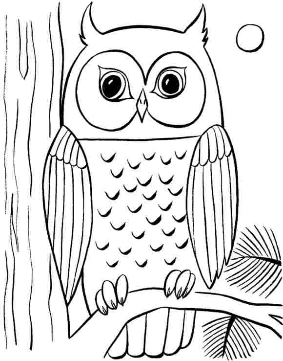 580x738 Drawing Lessons On How To Draw An Owl With Six Easy And Simple