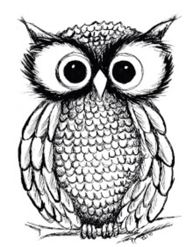 640x816 Pin By Natalie On Things I Love Owl, Draw