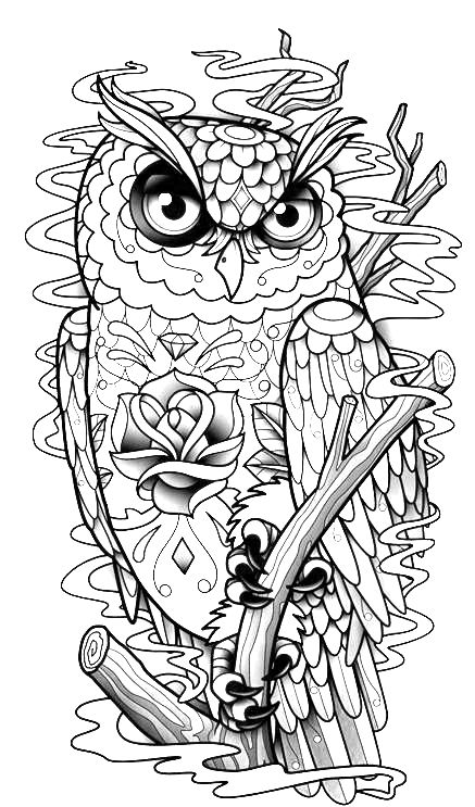 437x743 Resultado De Imagen De Colored Owl Pictures Kolorowanki