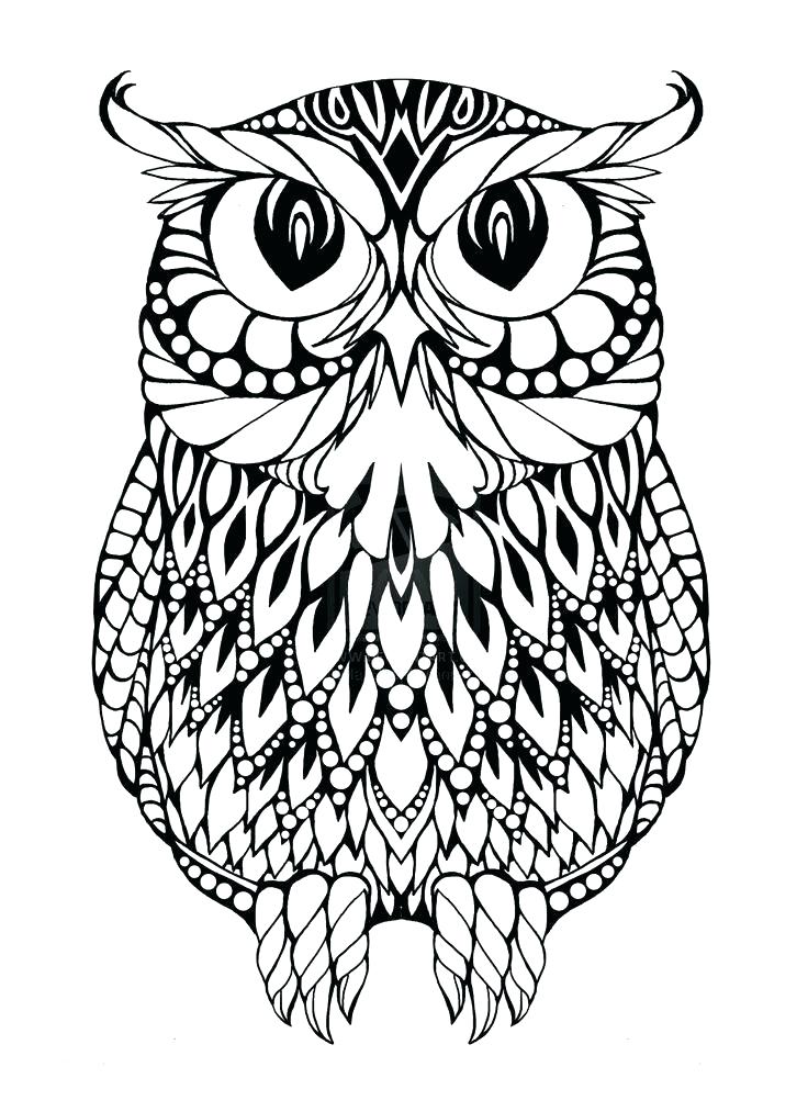736x1013 Coloring Book Owl Colorful Owl Coloring Page By Tropical World