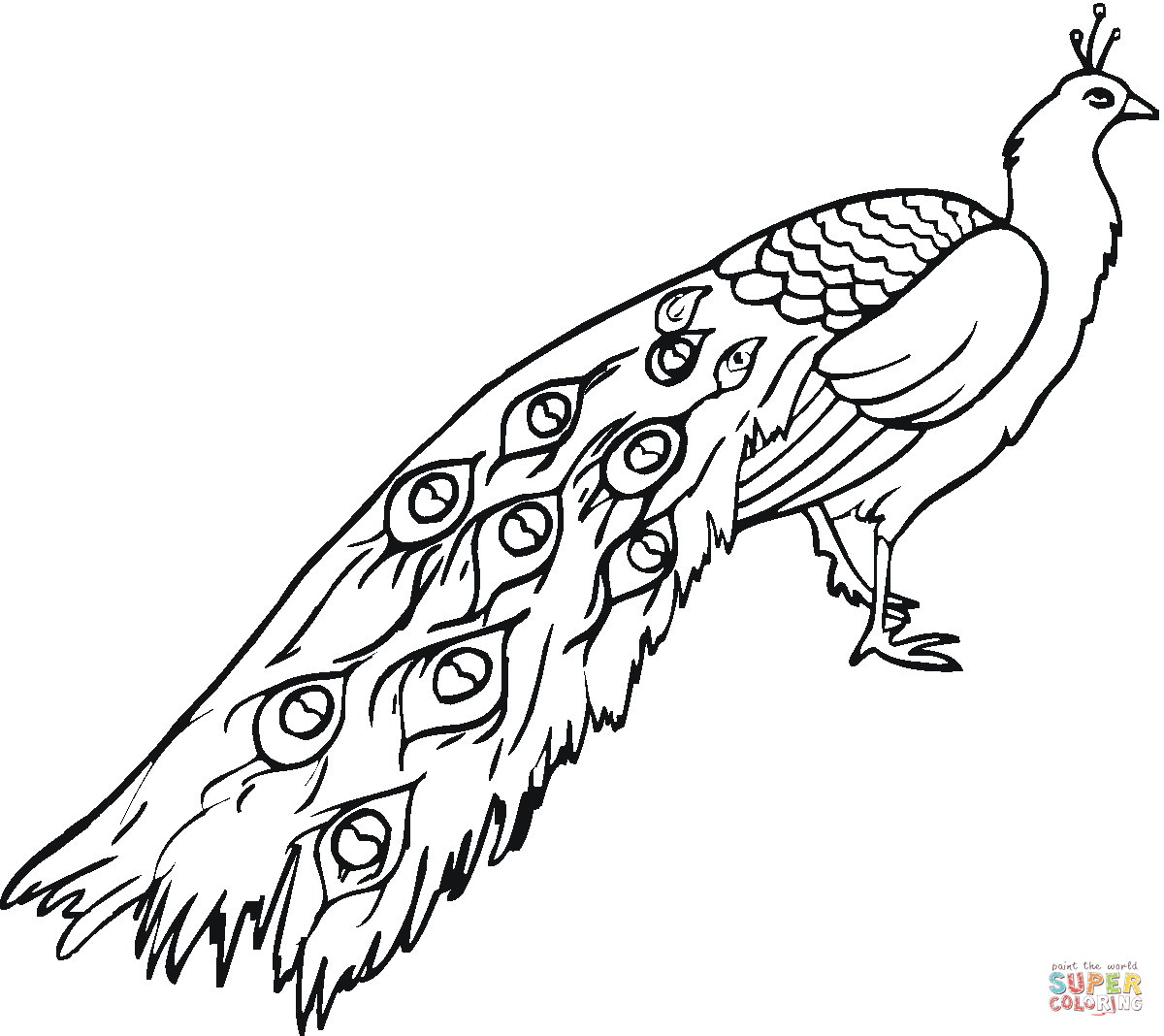1200x1068 Peacocks Coloring Pages Free Coloring Pages Coloring Pages