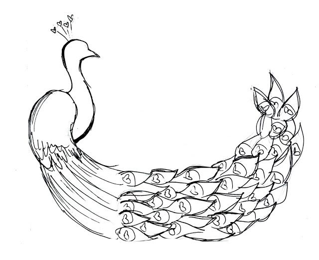 640x521 Realistic Peacock Coloring Page Free Printable Peacock Coloring