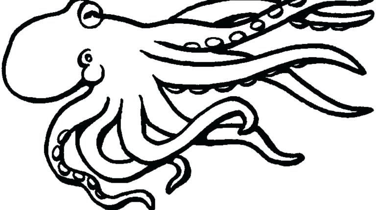 770x430 Squid Coloring Pages Squid Coloring Pages Girl Giant Page Free